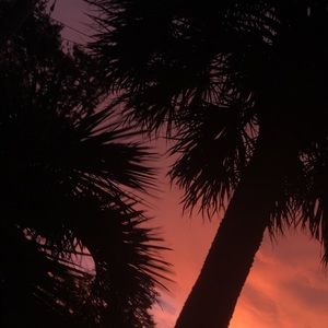 Meet your Posher, Jayma